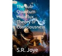 The Sub-Quantum Holoflux Theory of Consciousness