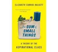 La suma de las pequeñas cosas – Una teoría de la clase aspiracional – Princeton University Press