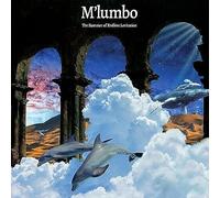 The Summer Of Endless Levitation [Vinilo]