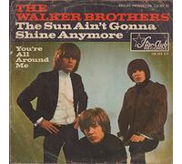 The Sun Ain't Gonna Shine Any More - You're All Around