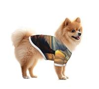 The Sun Rising Between Two Mountains - Camisa de malla para perro, ligera y transpirable, de secado rápido, elástica, para perros pequeños