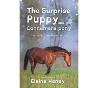 The Surprise Puppy and the Connemara Pony - Dyslexia Friendly: 3 (Coral Cove Dyslexia Friendly Pony Adventures)