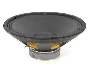 "the t.amp Speaker 10"" for PA 4080"