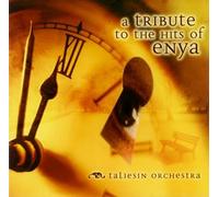 The Taliesin Orchestra - A Tribute to The Hits of Enya [Import]