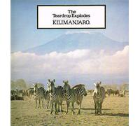 The Teardrop Explodes - Kilimanjaro