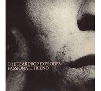 The Teardrop Explodes - Passionate Friend
