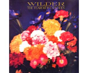 The Teardrop Explodes - Wilder