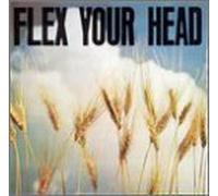 The Teen Idles, The Untouchables, State of Alert, Minor Threat, Government Issue - Flex Your Head by The Teen Idles, The Untouchables, State of Alert, Minor Threat, Government Issue (1993) Audio CD