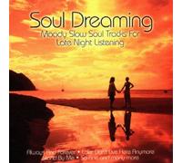 The Temptations - The Drifters - Ike and Tina Turner - Ben E King - Sam and Dave - Soul Dreaming