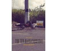 The Ten Days Executive And Other Stories (ebook)