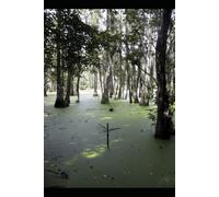 THE THEOLOGY OF RIVERS - Rivers of Paradise, Grace, and the Restoration of All Things: A Patristic Exploration of Water in the Divine Economy