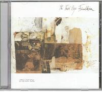 The Third Eye Founda - Little Lost Soul