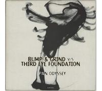 The Third Eye Foundation - Pan Odyssey