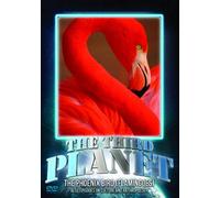The Third Planet: The Phoenix Bird (Flamingoes) [DVD] [Reino Unido]