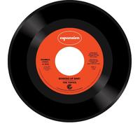 The Topics - Booking Up Baby [7" VINYL] [Vinilo]