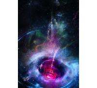 The Toroidal Universe: Second Edition (The Harmonic Continuum Papers)