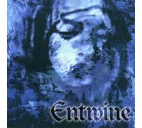 The Treasures Within Hearts