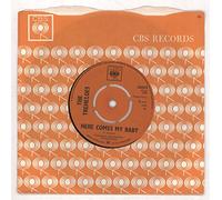 The Tremeloes - Here Comes My Baby