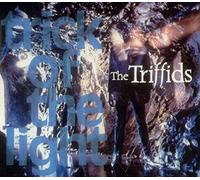 The Triffids (80s) - Trick of the Light