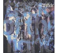 The Triffids (80s) - Trick Of The Light