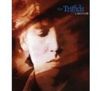The Triffids - Calenture