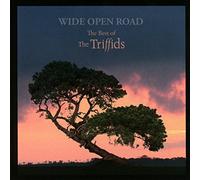 The Triffids - Wide Open Road