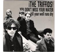 The Triffids - You Don't Miss Your Water Till Your Well Runs Dry [7" Vinyl]