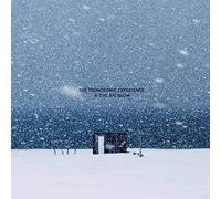 The Tronosonic Experience - Ii: The Big Blow