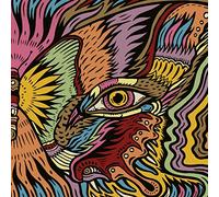 The Tronosonic Experience - The Shadow Vol.2 [Vinilo]