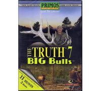 The Truth 7 Big Bulls