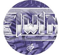 The Twins - Youve Got A Twin In The Attic (You Lunatic) [Vinilo]