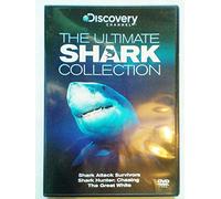 The Ultimate Shark Collection - Shark Attack Survivors - Chasing the Great White