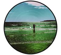 Manic Street Preachers – The Ultra Vivid Lament – Vinilo Picture Disc (Importación USA)