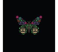 The Vagaband - Medicine For The Soul