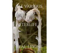 The Various Accounts of The Afterlife