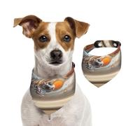 The Vastness of The Universe. Pañuelo lavable para perro para mascotas pequeñas a grandes, para niñas o niños, accesorios para mascotas
