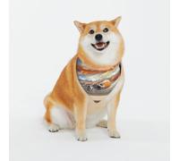 The Vastness of The Universe. Pañuelo lavable para perro para mascotas pequeñas a grandes, para niñas o niños, accesorios para mascotas