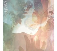 The Veldt - The Shocking Fuzz of Your Electric Fur: The Drake Equation [VINYL] [Vinilo]