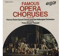 The Vienna State Orchestra - Famous Opera Choruses