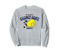 The Village of Calumet Grove TV FL USA Pickleball Design Sudadera
