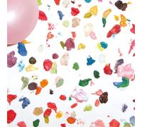 The Virgins virgins -hq (Vinyl) (Importación USA)