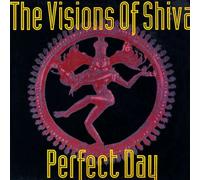 The Visions Of Shiva - Perfect Day