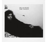 The Voidist by Imaad Wasif