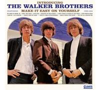 The Walker Brothers - Introducing The Walker Brothers