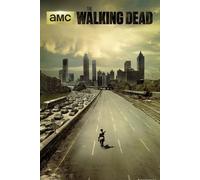 The Walking Dead Póster (Muertos andantes) Dead City- Ciudad Muerta/1era. Temporada (61cm x 91,5cm)