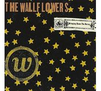 The Wallflowers - Bringing Down The Horse