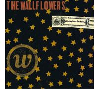 The Wallflowers Bringing Down the Horse (Vinyl) 12" Album (Importación USA)