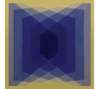 EXP (Experimental Burnout Music) [Vinilo]