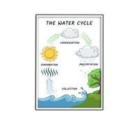 The Water Cycle Educational Chart Science Classroom Decorations for Middle School High School Teacher Supplies Earth Science Visual Learning Poster(Unframed,08x12inch(20x30cm))