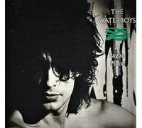 The Waterboys A Pagan Place (CD) Expanded Album (Importación USA)